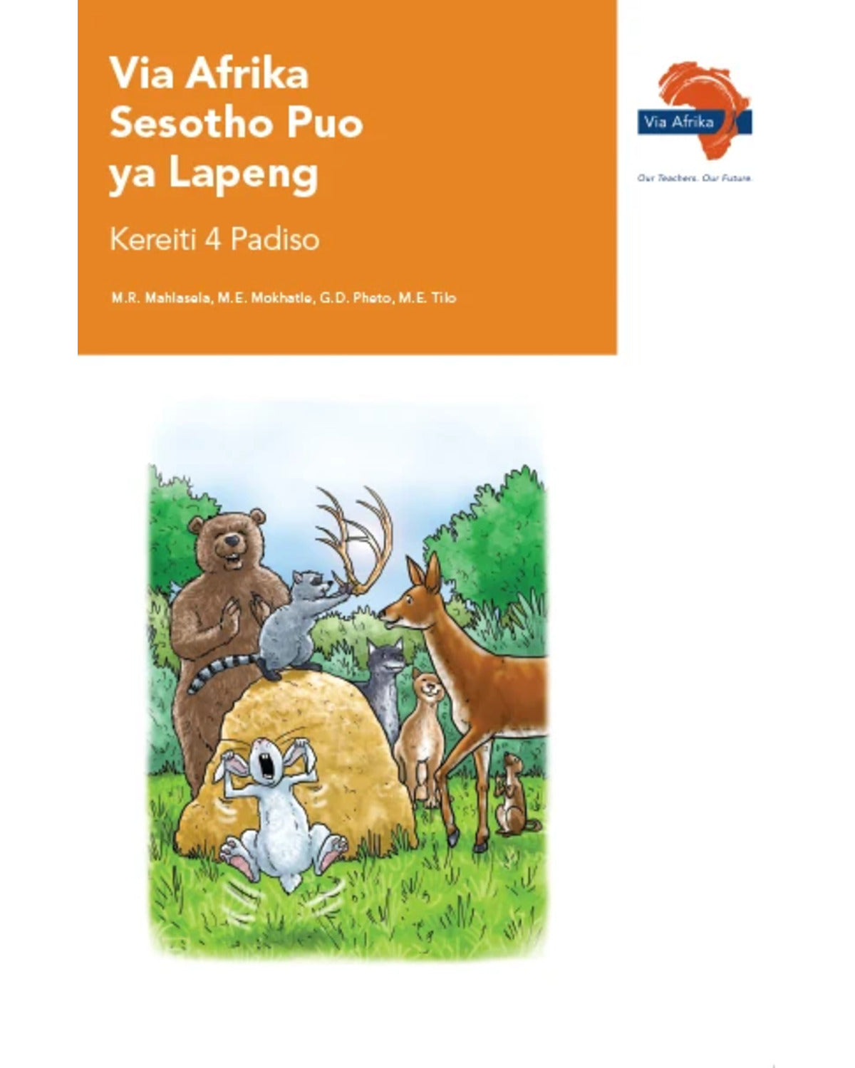 VIA AFRIKA SESOTHO HOME LANGUAGE GRADE 4 READER