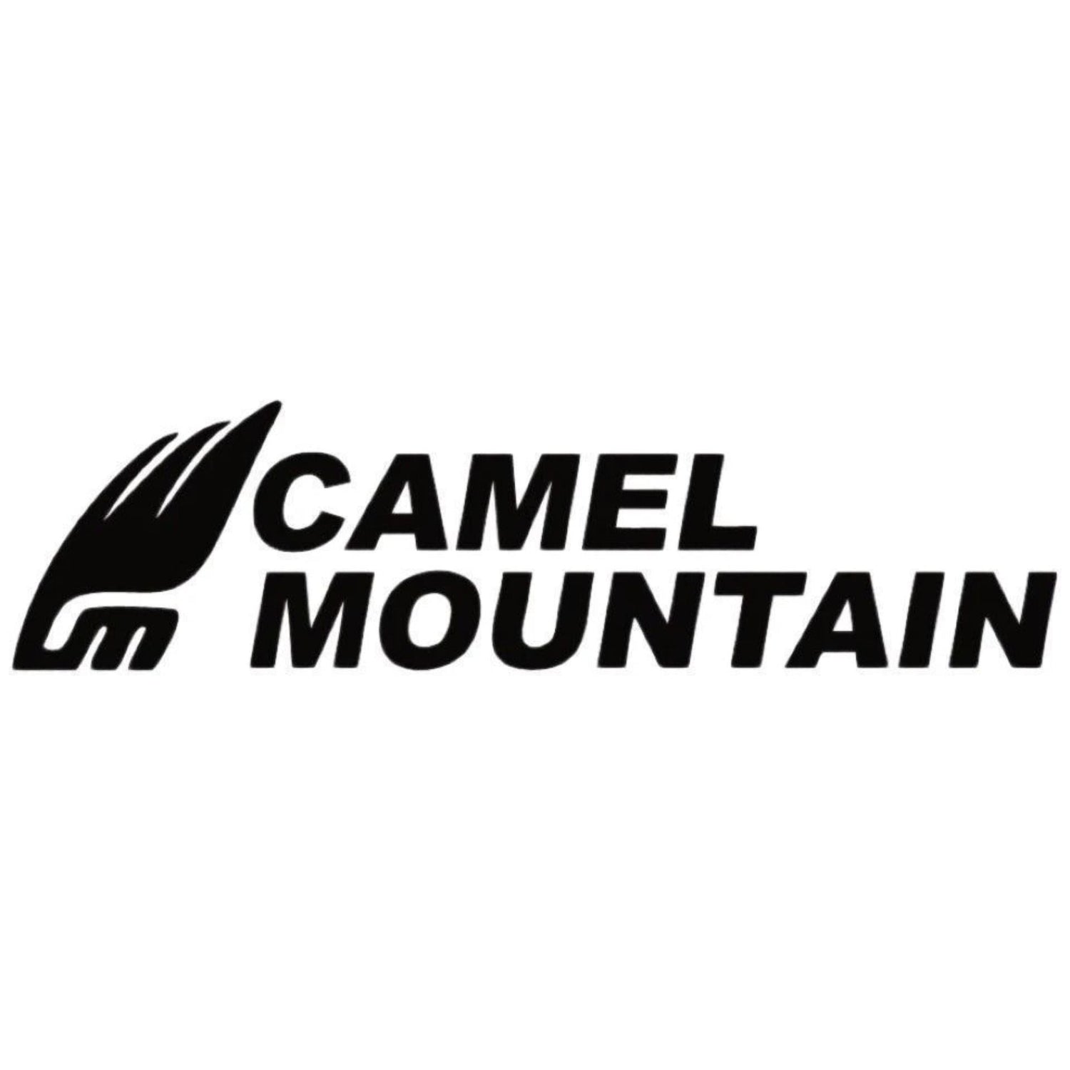 Camel Mountain