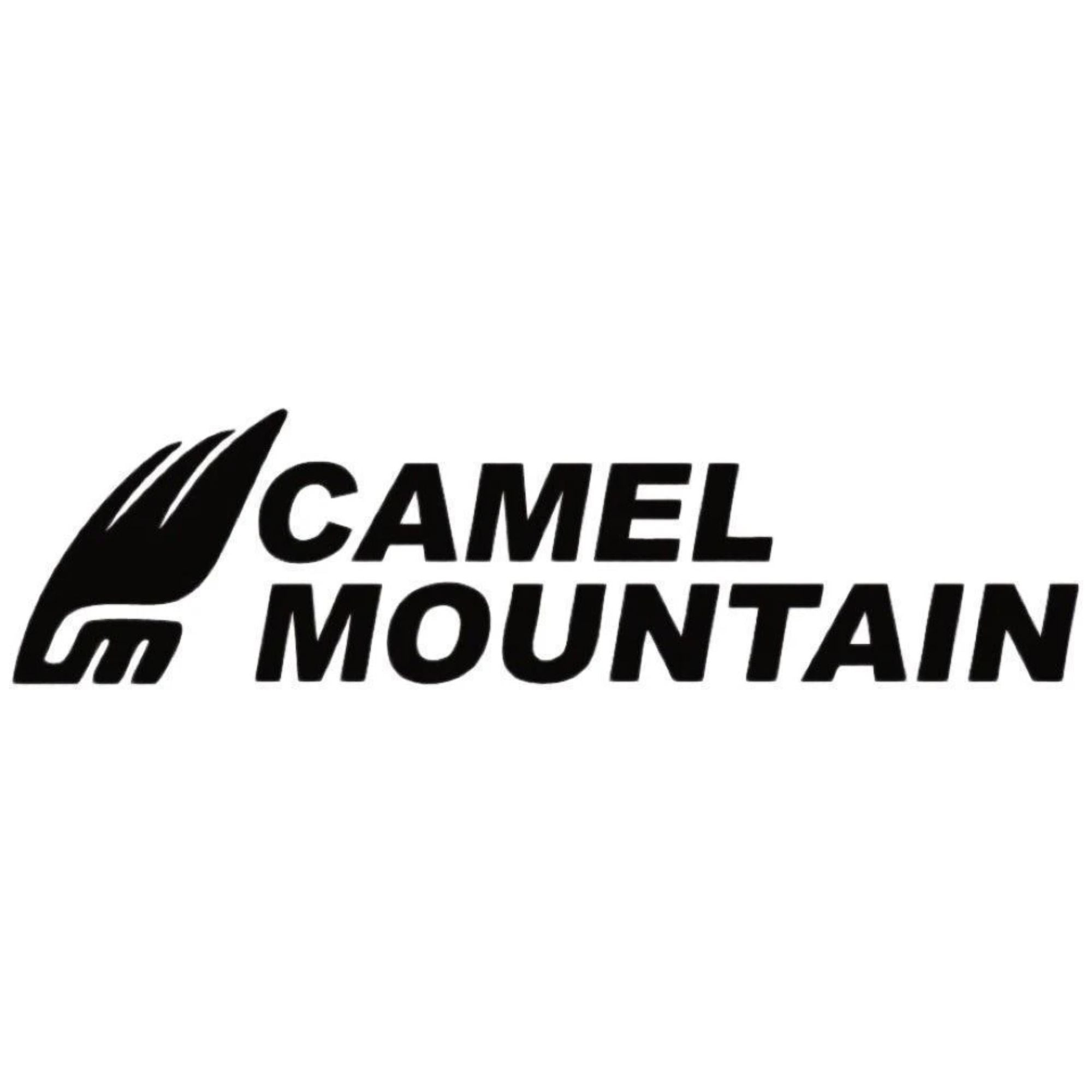 Camel Mountain
