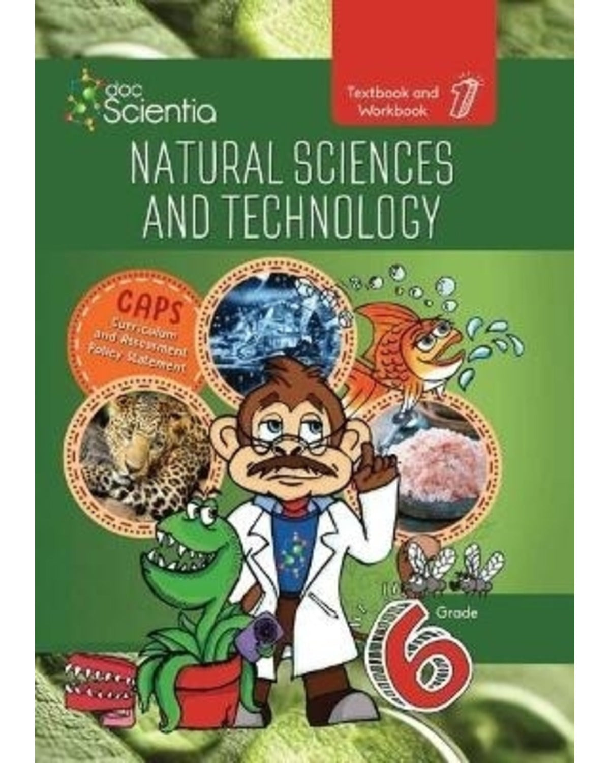 GRADE 6 TEXTBOOK AND WORKBOOK BOOK 1 NATURAL SCIENCES AND TECHNOLOGY FULL COLOUR