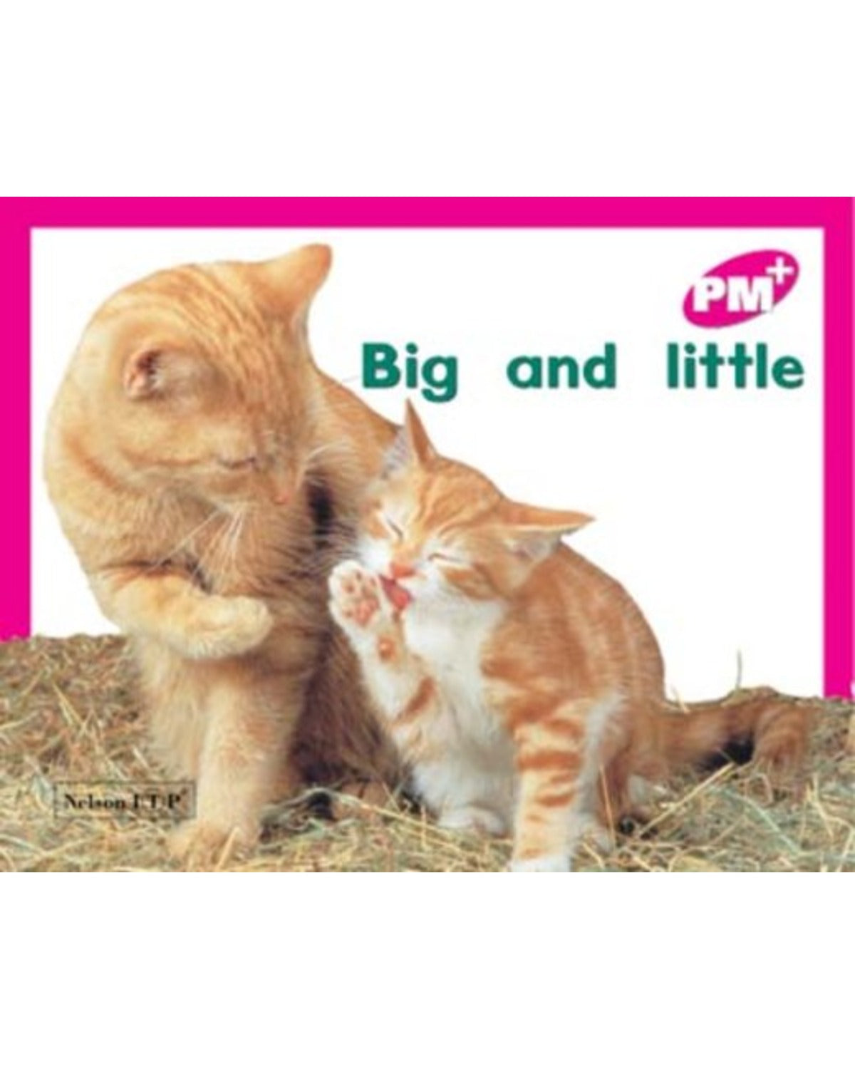 BIG AND LITTLE